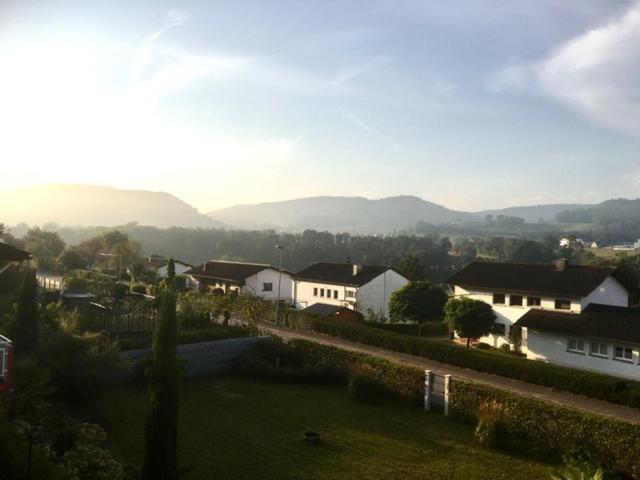 Swiss View Apartment Hohentengen am Hochrhein Bagian luar foto
